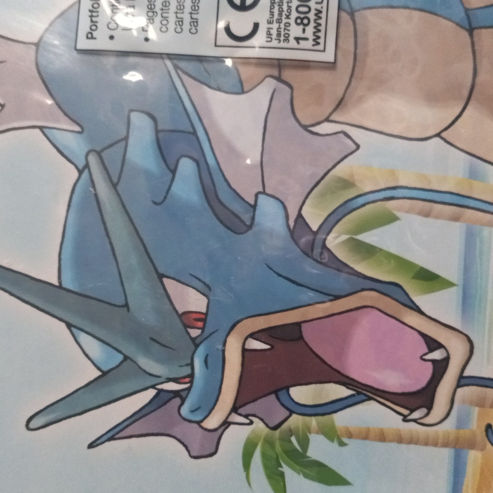 Pokemon - Picture 15 of 15